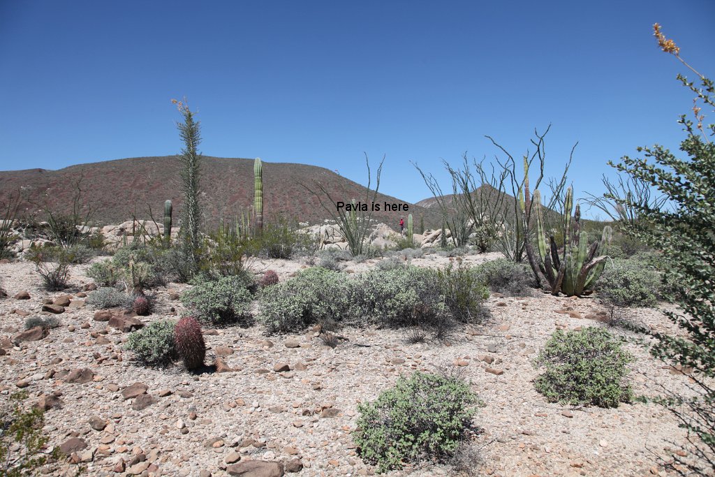 IMG 0016 (2)